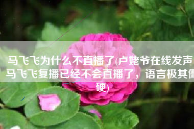 马飞飞为什么不直播了(卢姥爷在线发声，马飞飞复播已经不会直播了，语言极其僵硬)