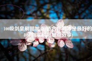100级剑皇刷图加点(适合你的才是最好的 DNF剑宗刷图加点分享)