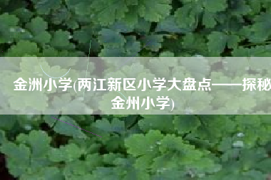 金洲小学(两江新区小学大盘点——探秘金州小学)