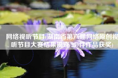 网络视听节目(湖南省第六届网络原创视听节目大赛结果揭晓 259件作品获奖)