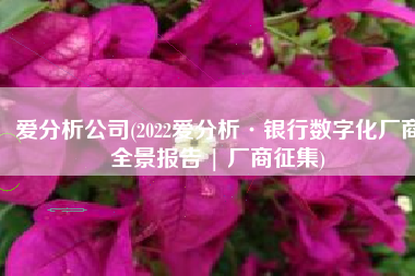爱分析公司(2022爱分析·银行数字化厂商全景报告 | 厂商征集)