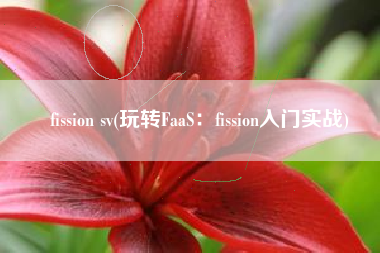 fission sv(玩转FaaS：fission入门实战)