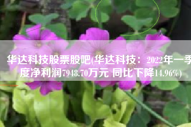 华达科技股票股吧(华达科技：2022年一季度净利润7948.70万元 同比下降14.96%)