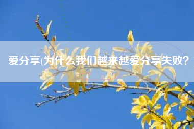 爱分享(为什么我们越来越爱分享失败？)
