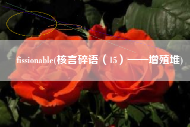 fissionable(核言碎语（15）——增殖堆)