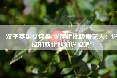 汉子英雄女评委(濮存昕批吸毒艺人：烂掉的就让他们烂掉吧)