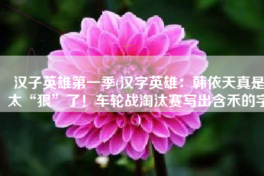 汉子英雄第一季(汉字英雄：韩依天真是太“狠”了！车轮战淘汰赛写出含禾的字)