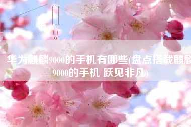 华为麒麟9000的手机有哪些(盘点搭载麒麟9000的手机 跃见非凡)