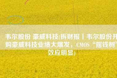 韦尔股份 豪威科技(拆财报丨韦尔股份并购豪威科技业绩大爆发，CMOS“摇钱树”效应明显)