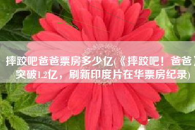 摔跤吧爸爸票房多少亿(《摔跤吧！爸爸》突破1.2亿，刷新印度片在华票房纪录)