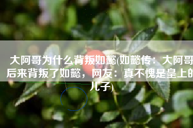 大阿哥为什么背叛如懿(如懿传：大阿哥后来背叛了如懿，网友：真不愧是皇上的儿子)