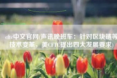 cftc中文官网(声讯晚班车：针对区块链等技术变革，美CFTC提出四大发展要求)