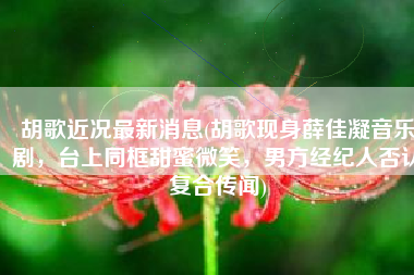 胡歌近况最新消息(胡歌现身薛佳凝音乐剧，台上同框甜蜜微笑，男方经纪人否认复合传闻)