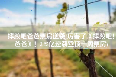 摔跤吧爸爸票房逆袭(厉害了《摔跤吧！爸爸》！3.25亿逆袭登顶一周票房)