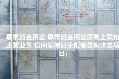 募集资金用途(募集资金用途原则上紧扣主营业务 投向领域避免限制类淘汰类项目)