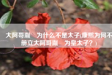大阿哥胤禔为什么不是太子(康熙为何不册立大阿哥胤褆为皇太子？)