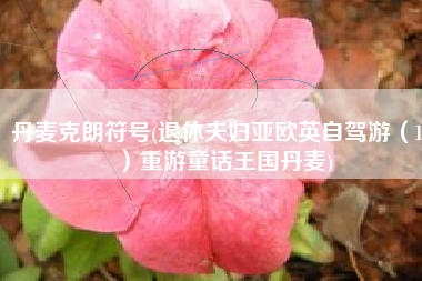 丹麦克朗符号(退休夫妇亚欧英自驾游（12）重游童话王国丹麦)