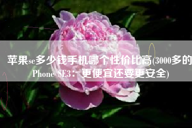 苹果se多少钱手机哪个性价比高(3000多的iPhone SE3：更便宜还要更安全)