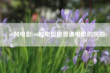 60帧电影(60帧电影跟普通电影的区别)