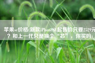 苹果se价格(新款iPhoneSE起售价只要2529元？和上一代只是换个“芯”，你买吗)