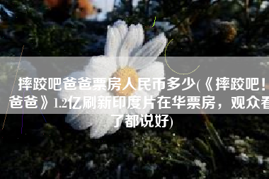 摔跤吧爸爸票房人民币多少(《摔跤吧！爸爸》1.2亿刷新印度片在华票房，观众看了都说好)