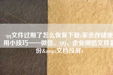 qq文件过期了怎么恢复下载(家丞存储使用小技巧——微信、QQ、企业微信文件备份&文档投屏)