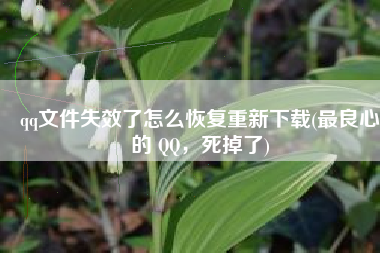 qq文件失效了怎么恢复重新下载(最良心的 QQ，死掉了)