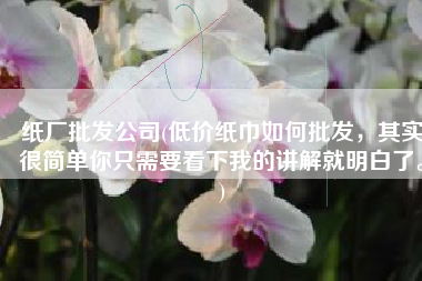 纸厂批发公司(低价纸巾如何批发，其实很简单你只需要看下我的讲解就明白了。)