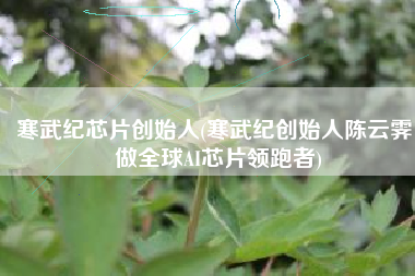 寒武纪芯片创始人(寒武纪创始人陈云霁：做全球AI芯片领跑者)