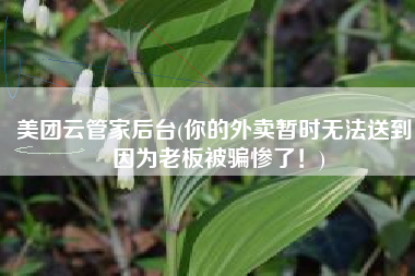 美团云管家后台(你的外卖暂时无法送到，因为老板被骗惨了！)