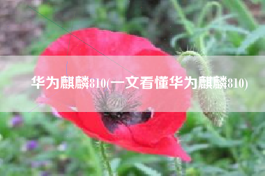 华为麒麟810(一文看懂华为麒麟810)