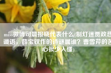 miss微博司晨报晓代表什么(制灯迷贾政悲谶语，薛宝钗作的诗谜属谁？曹雪芹的苦心很少人懂)