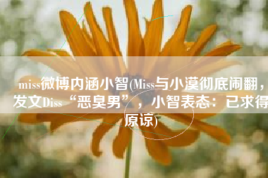 miss微博内涵小智(Miss与小漠彻底闹翻，发文Diss“恶臭男”，小智表态：已求得原谅)