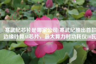 寒武纪芯片是哪家公司(寒武纪推出首款边缘计算AI芯片，最大算力时功耗仅10瓦)