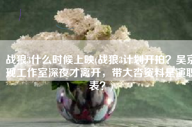 战狼3什么时候上映(战狼3计划开拍？吴京现工作室深夜才离开，带大沓资料是演职表？)