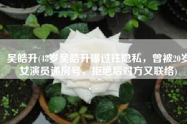 吴皓升(48岁吴皓升曝过往隐私，曾被20岁女演员递房号，拒绝后对方又联络)