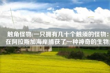 触角怪物(一只拥有几十个触须的怪物：在阿拉斯加海岸捕获了一种神奇的生物)