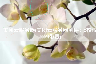 美团云服务器(美团云服务器测评：2核4G2000M带宽)