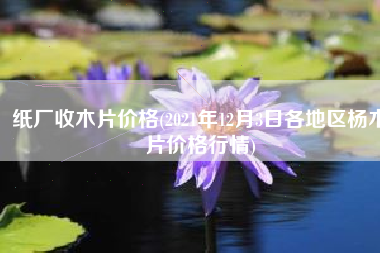 纸厂收木片价格(2021年12月3日各地区杨木片价格行情)