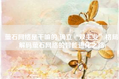 萤石网络是干嘛的(确立“双主业”格局！解码萤石网络的智能进化之路)