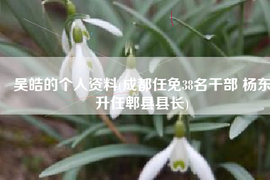 吴皓的个人资料(成都任免38名干部 杨东升任郫县县长)