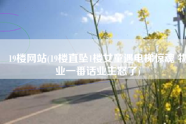 19楼网站(19楼直坠1楼女童遇电梯惊魂 物业一番话业主怒了)