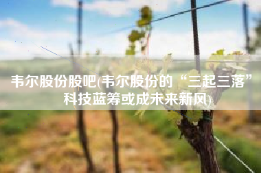 韦尔股份股吧(韦尔股份的“三起三落”：科技蓝筹或成未来新风)