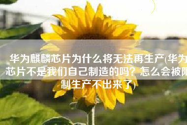 华为麒麟芯片为什么将无法再生产(华为芯片不是我们自己制造的吗？怎么会被限制生产不出来了)