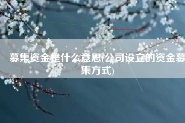募集资金是什么意思(公司设立的资金募集方式)