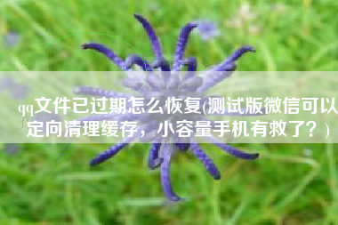 qq文件已过期怎么恢复(测试版微信可以定向清理缓存，小容量手机有救了？)
