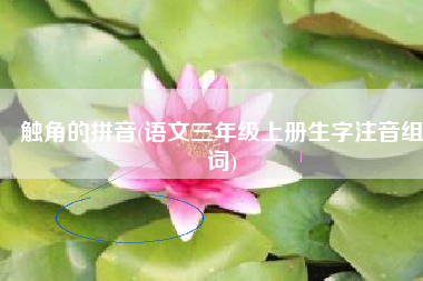 触角的拼音(语文三年级上册生字注音组词)