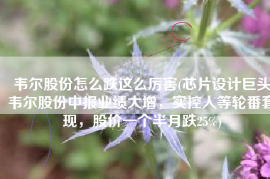 韦尔股份怎么跌这么厉害(芯片设计巨头韦尔股份中报业绩大增，实控人等轮番套现，股价一个半月跌25%)