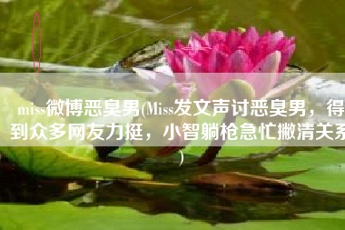 miss微博恶臭男(Miss发文声讨恶臭男，得到众多网友力挺，小智躺枪急忙撇清关系)