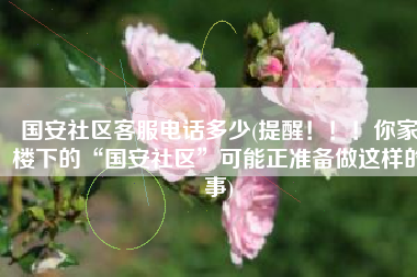 国安社区客服电话多少(提醒！！！你家楼下的“国安社区”可能正准备做这样的事)